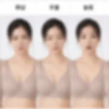블러 처리된 게시물 이미지