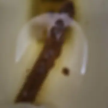 블러 처리된 게시물 이미지