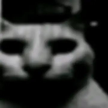 블러 처리된 게시물 이미지